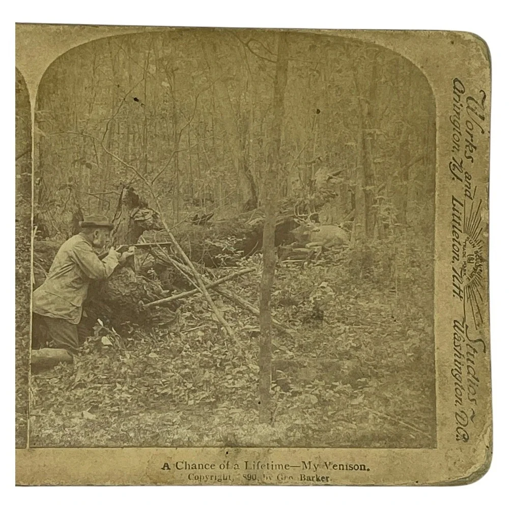 A Chance of a Lifetime My Venison 1890 Hunting Stereoview Underwood‎